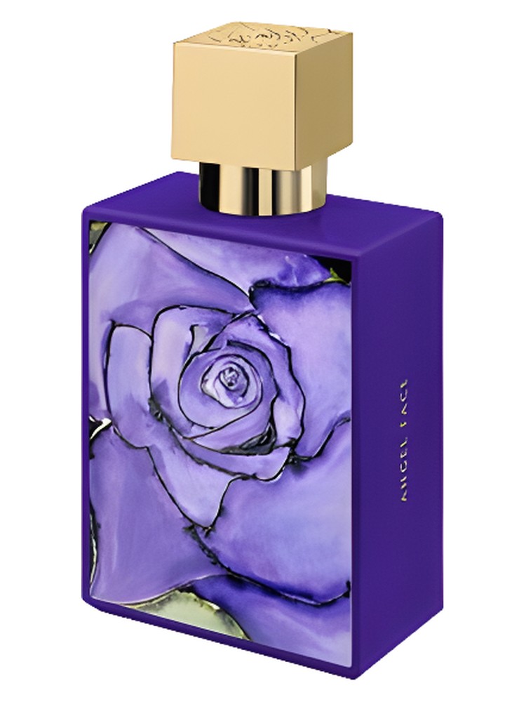 Angel Face by A Dozen Roses