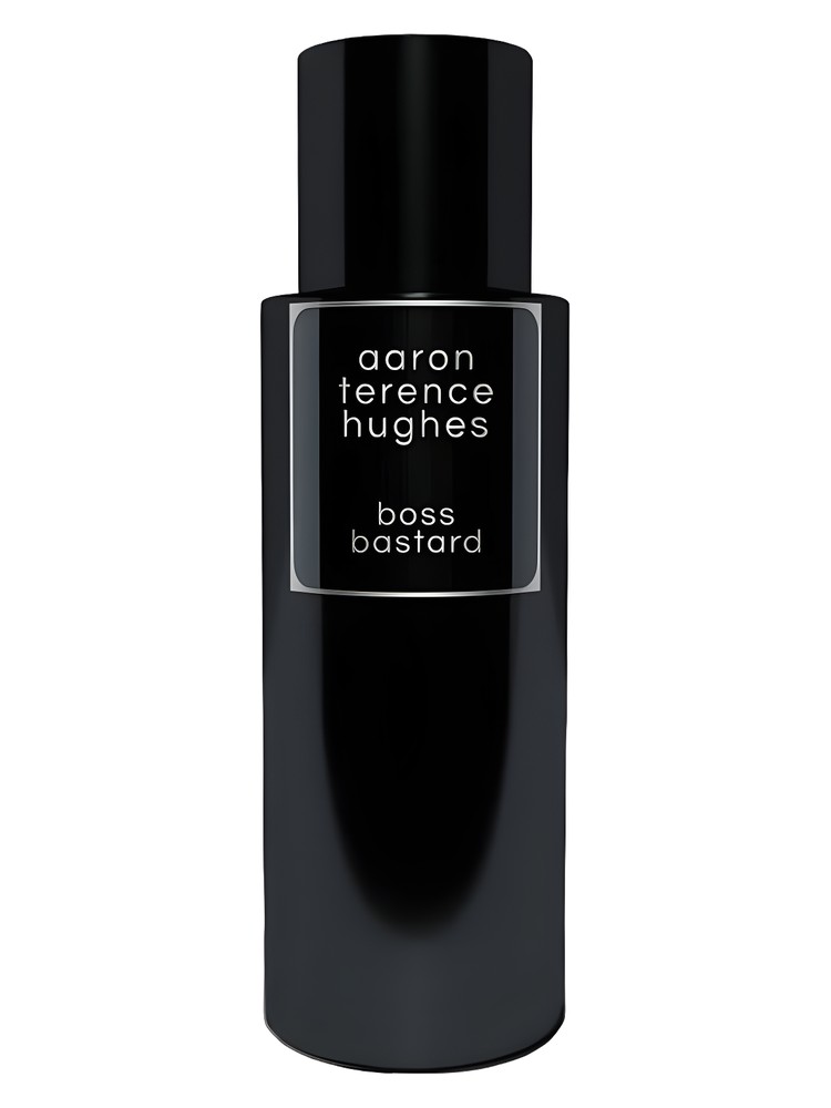 Boss Bastard by Aaron Terence Hughes