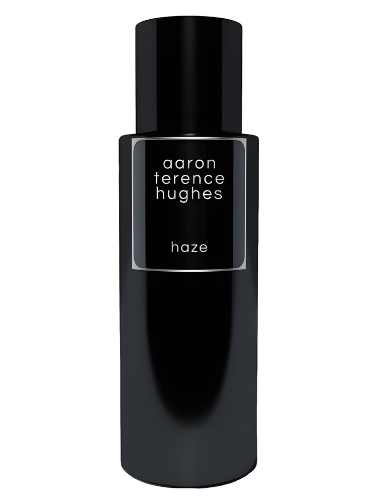 Haze by Aaron Terence Hughes