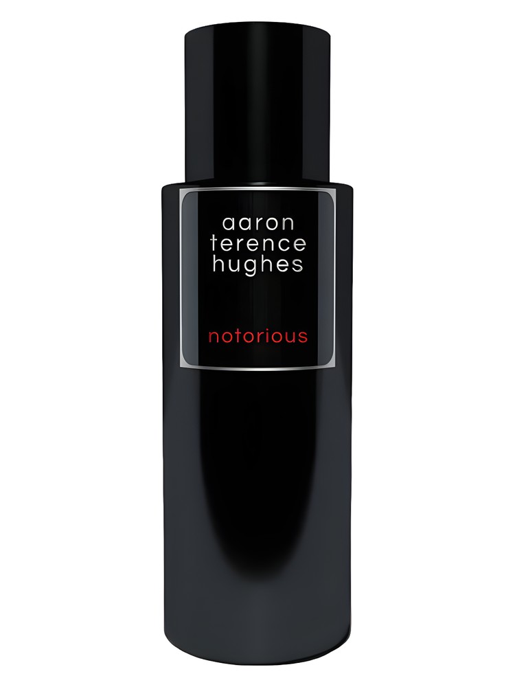 Notorious by Aaron Terence Hughes