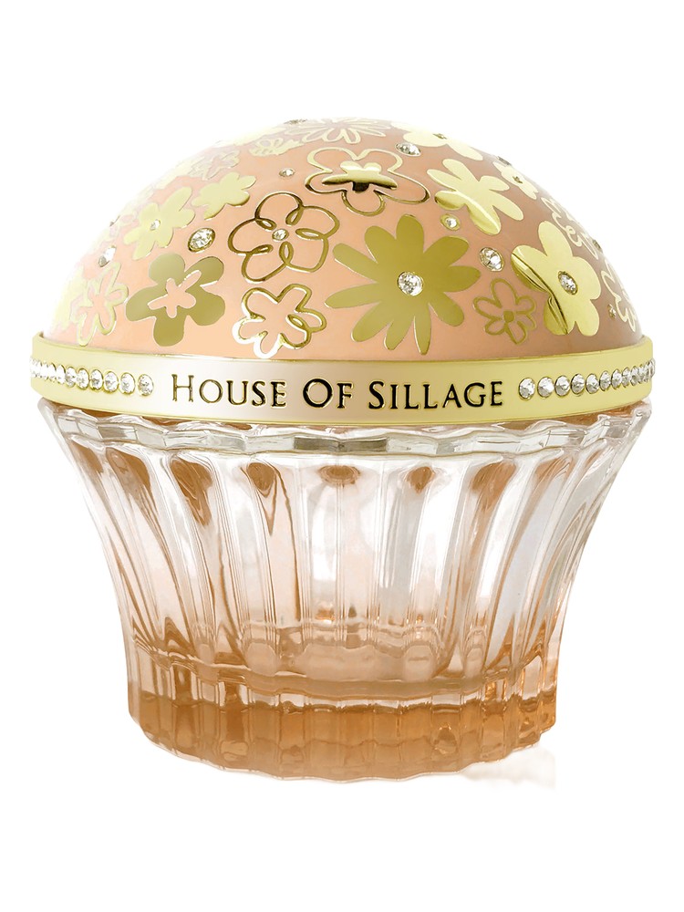 Whispers of Enlightenment