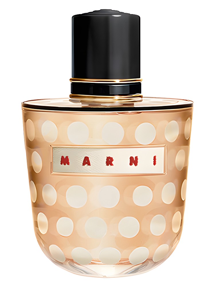 Marni Spice