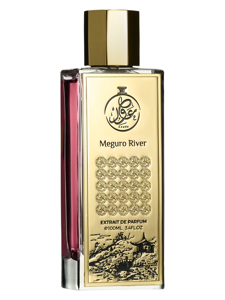 Meguro River by AAWED