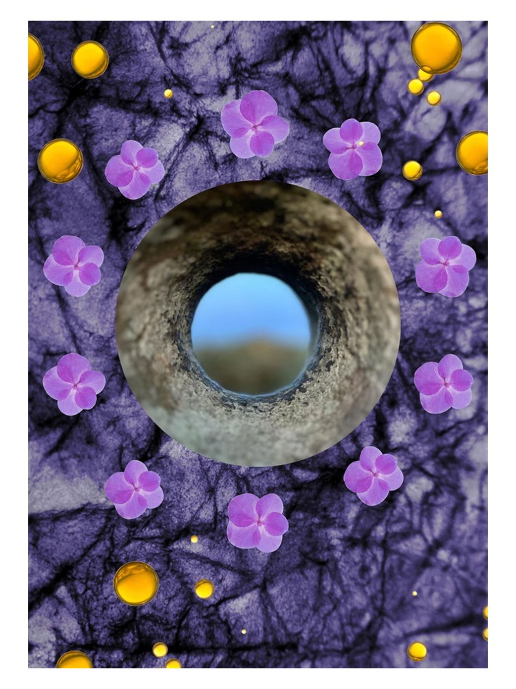 Crown Of Violets by aand fragrances