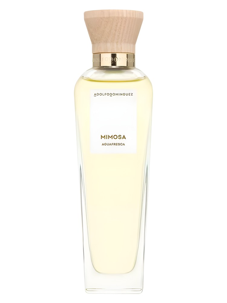 Agua Fresca de Mimosa Coriandro