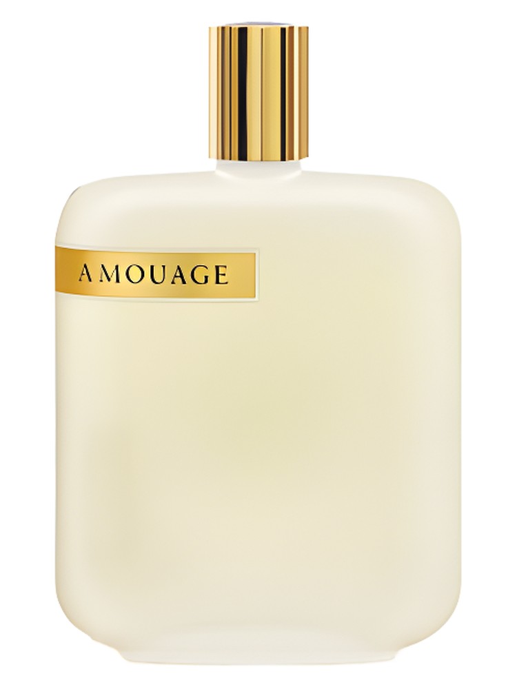 The Library Collection Opus III