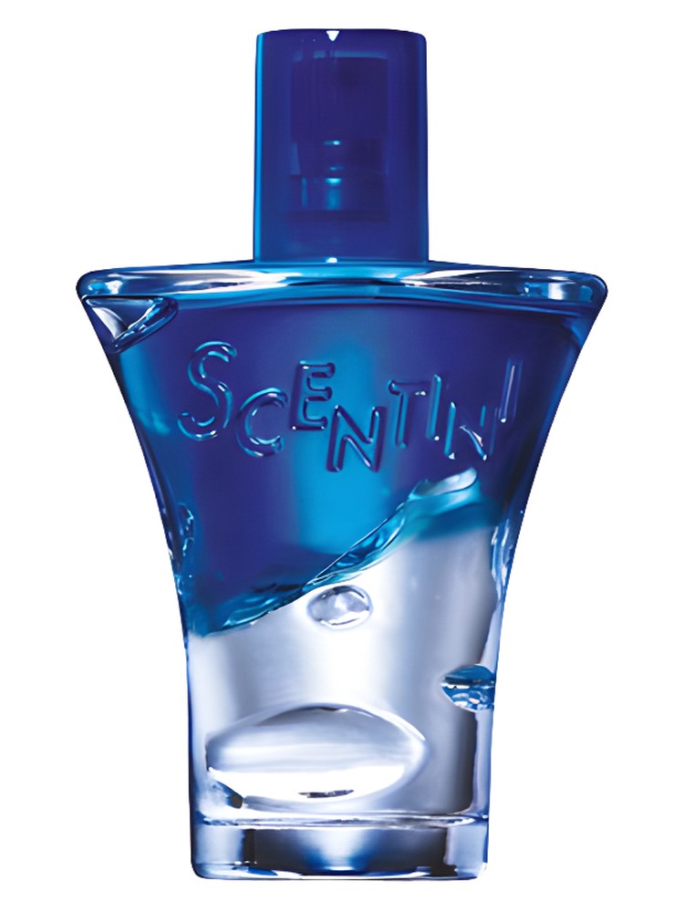 Scentini Nights Midnight Glow