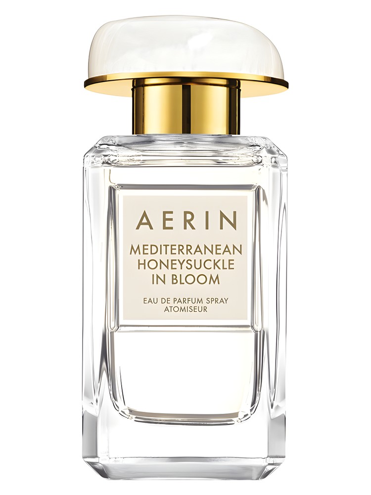 Mediterranean Honeysuckle In Bloom