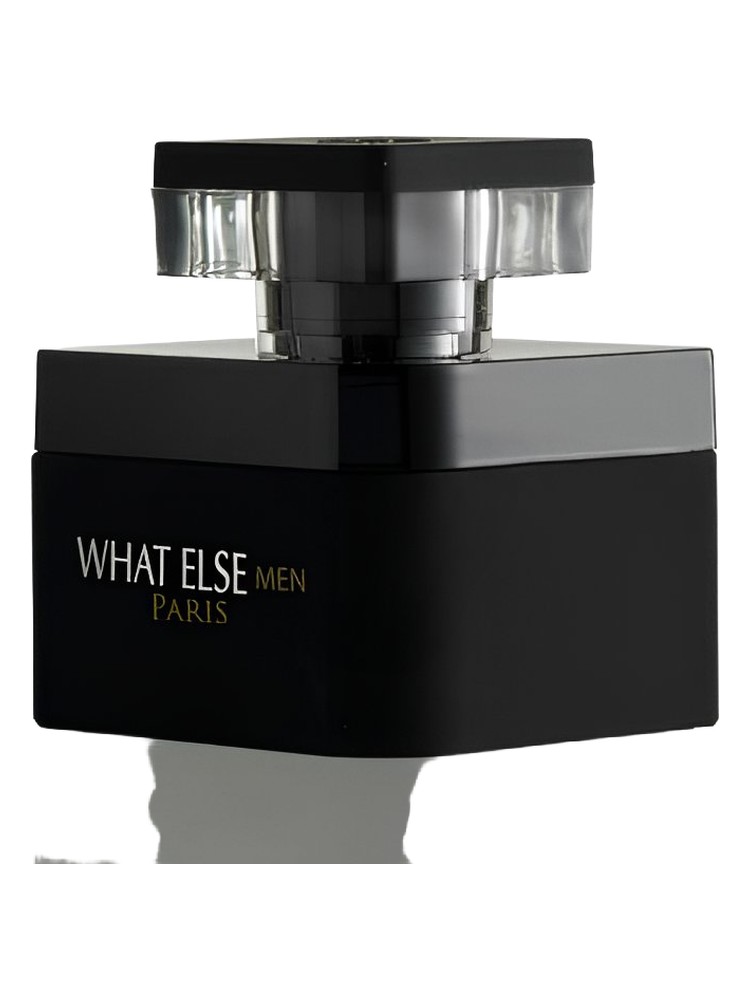 What Else Men by A P Durand Parfums