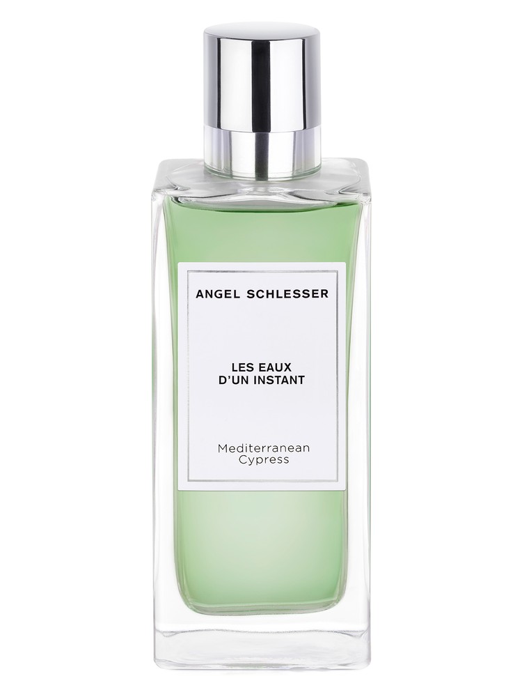 Mediterranean Cypress