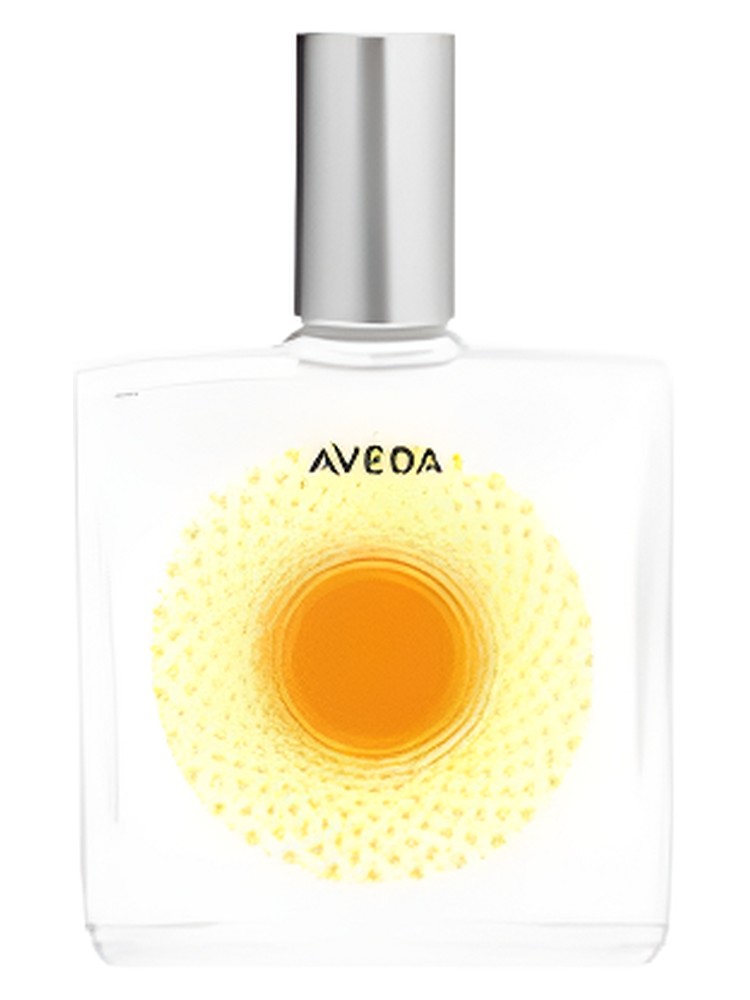 Desert Pure Fume Dune Primrose