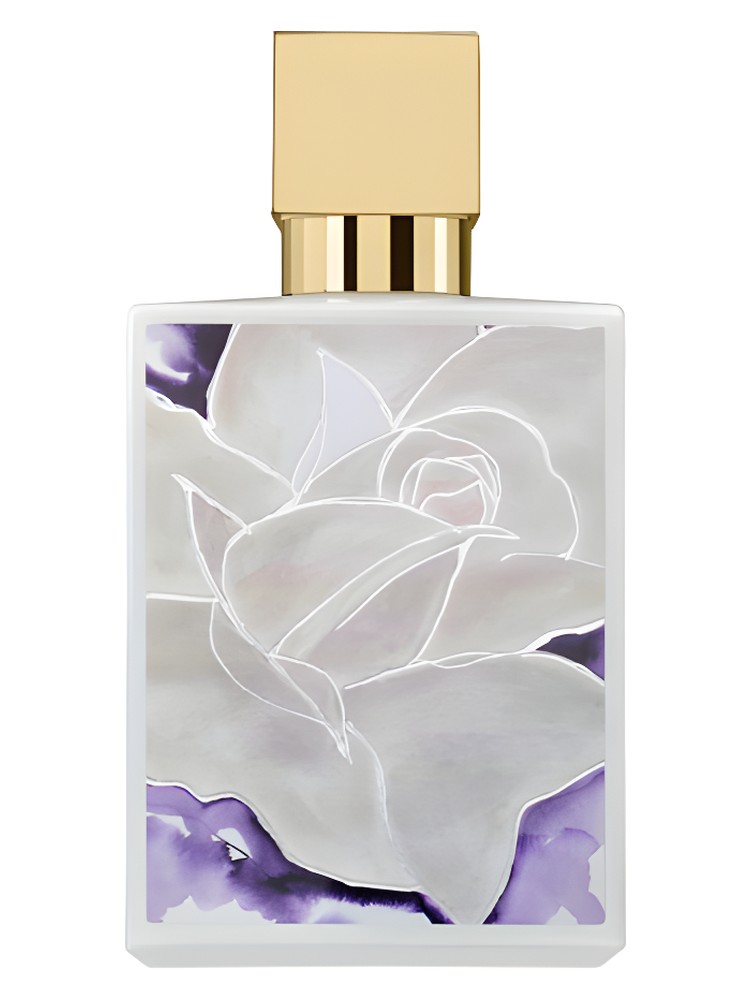 Iced White by A Dozen Roses