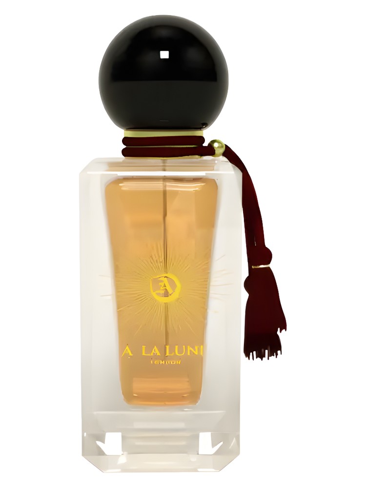 Trinity Blood by A La Lune