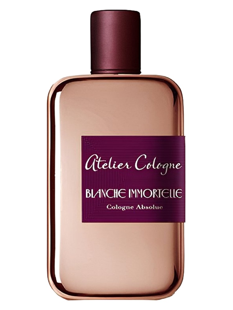 Blanche Immortelle