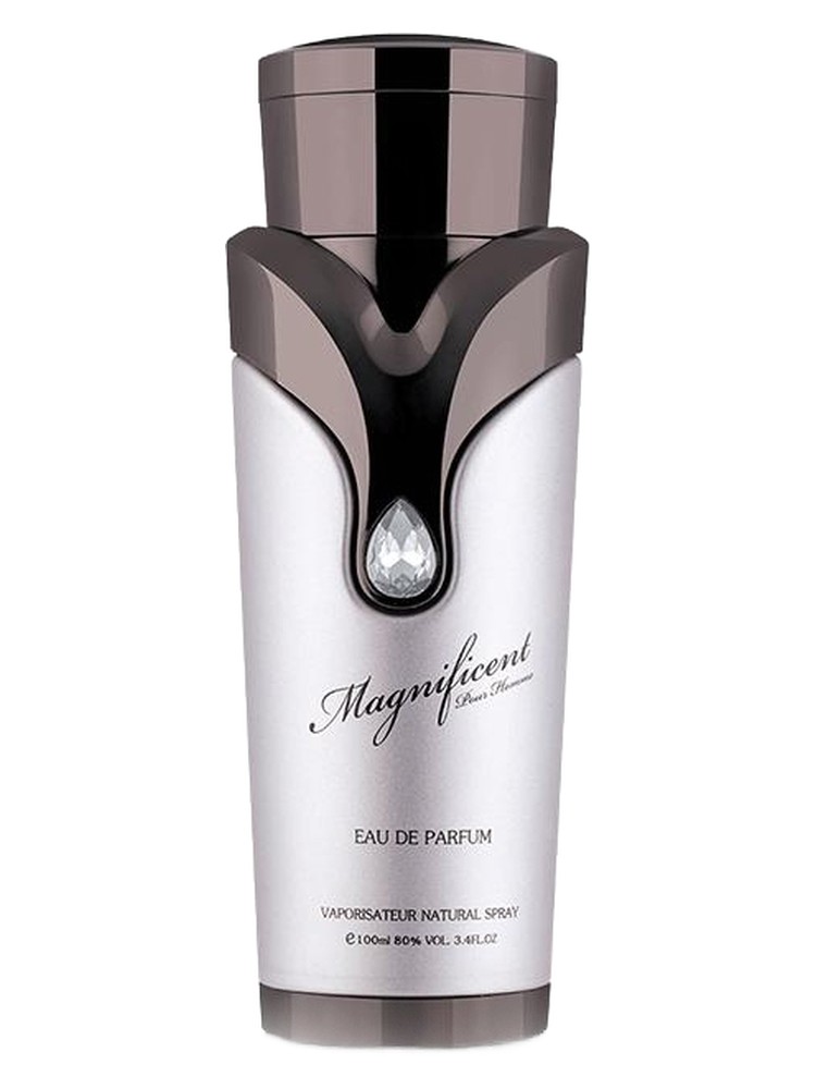 Magnificent Pour Homme