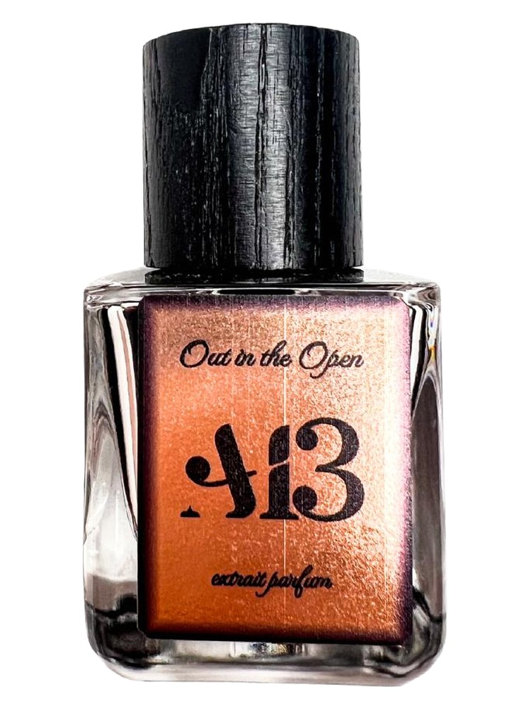 Out In The Open by A13