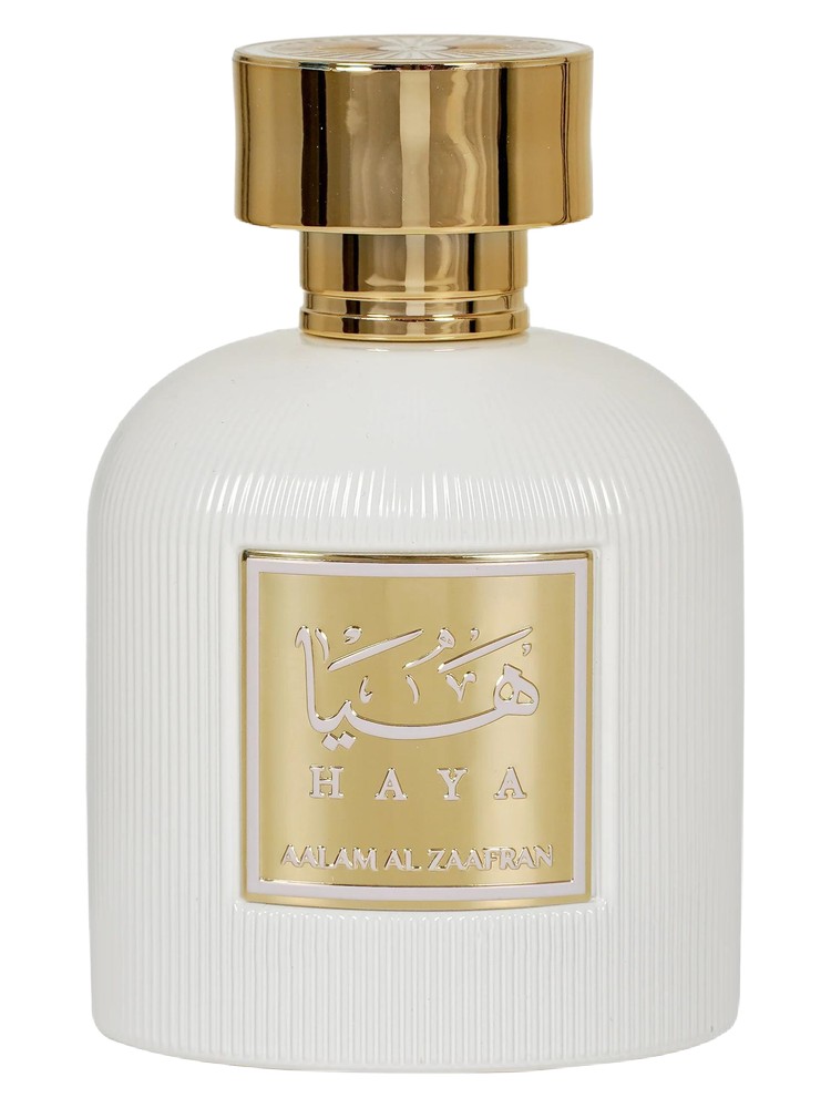 HAYA by Aalam Al Zaafran