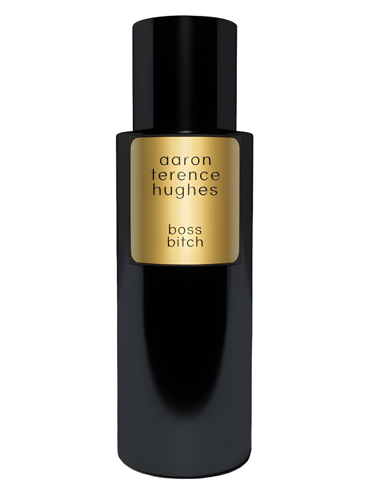 Boss Bitch by Aaron Terence Hughes