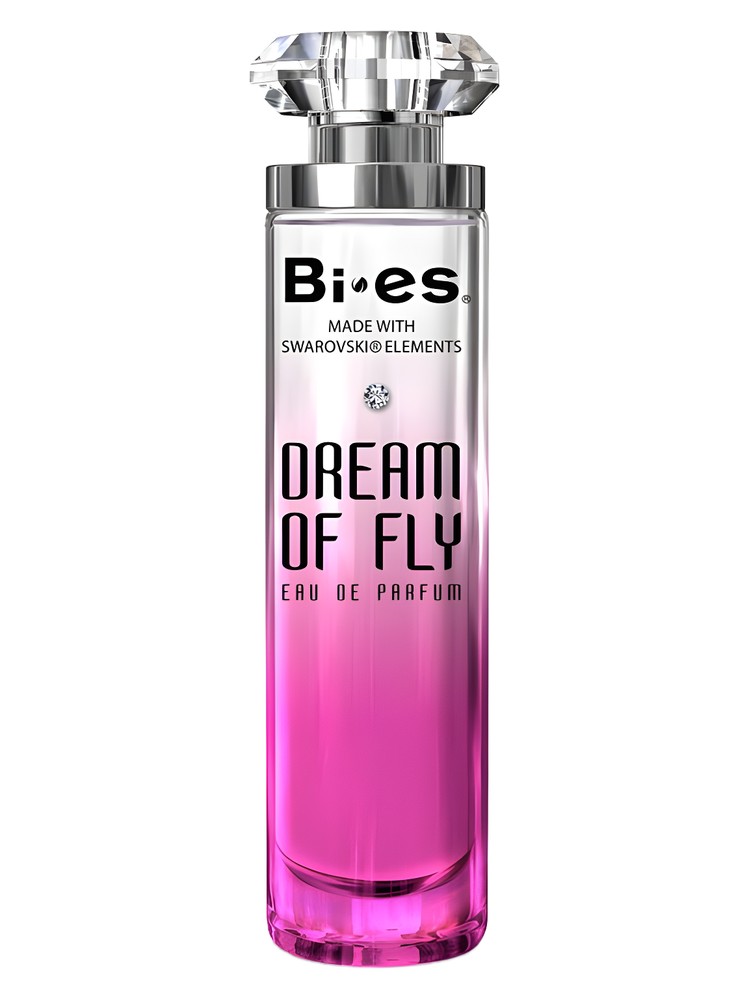 Dream of Fly