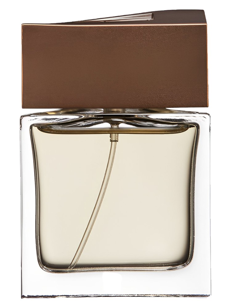 Brioni Man Eau de Parfum