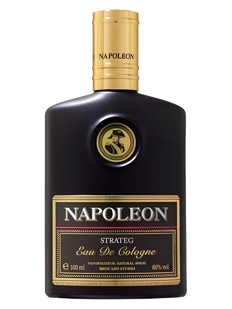 Napoleon Strateg