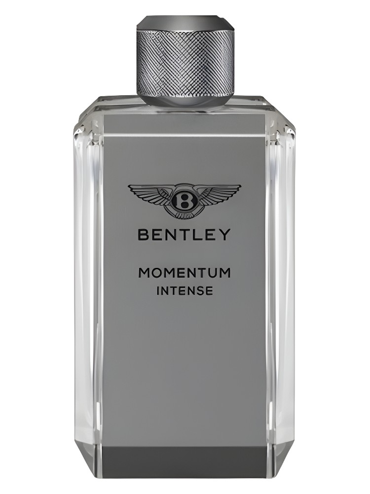 Momentum Intense