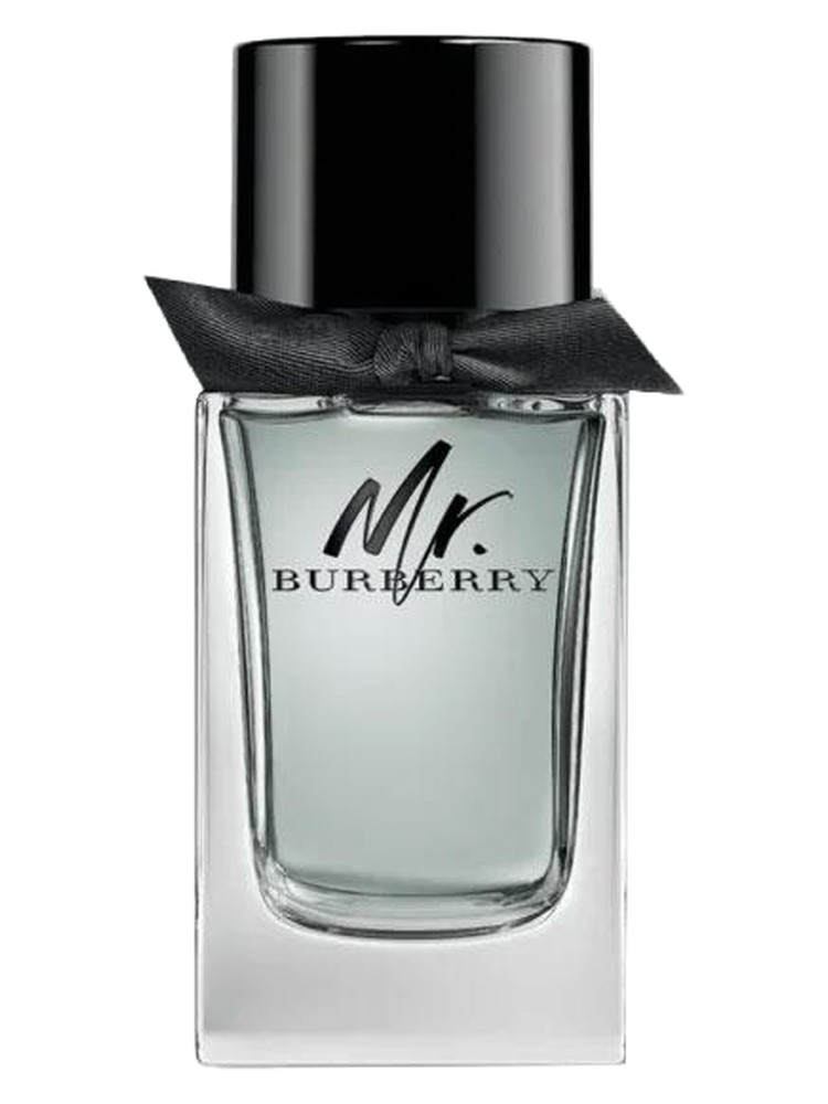 Mr Burberry