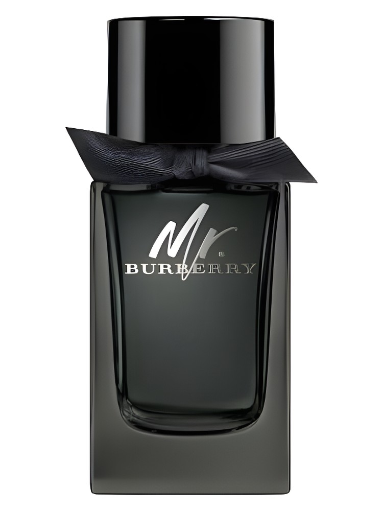 Mr Burberry Eau de Parfum