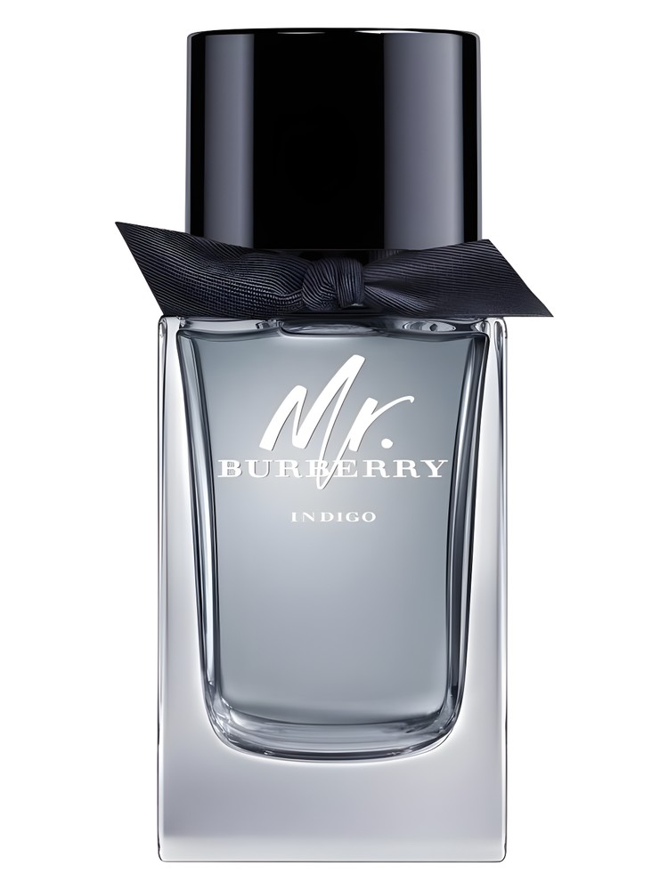 Mr Burberry Indigo