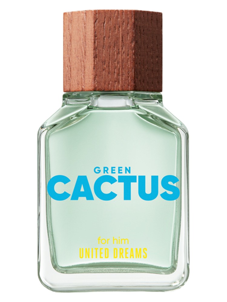 United Dreams Green Cactus For Him