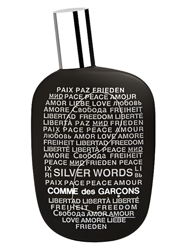 Comme des Garcons 2 Silver Words
