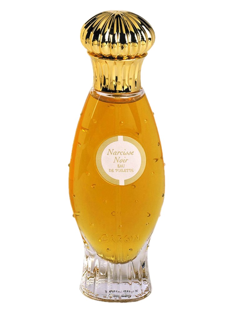 Narcisse Noir 1911