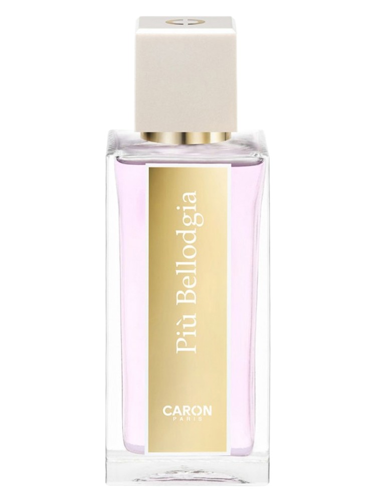 La Selection Piu Bellodgia