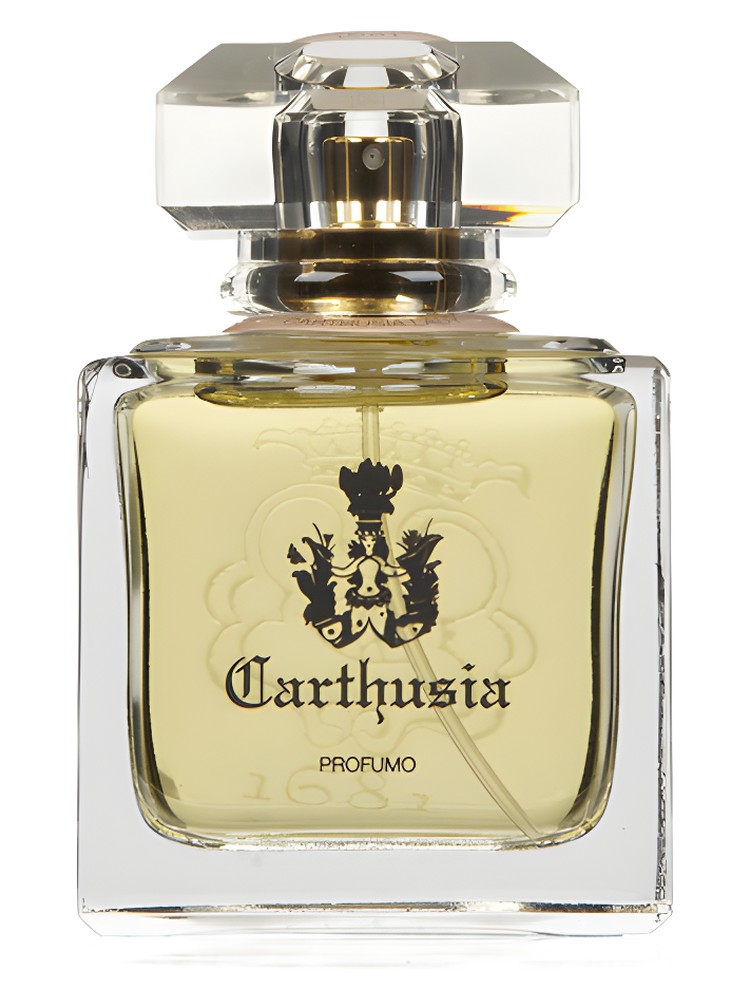 Carthusia Lady