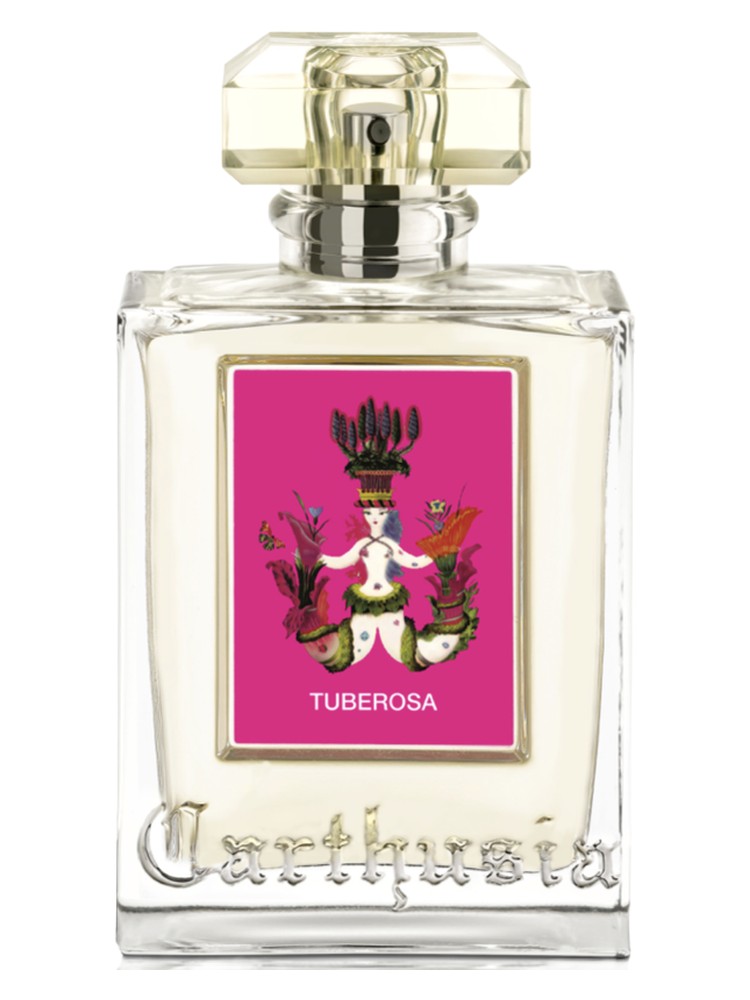 Tuberosa