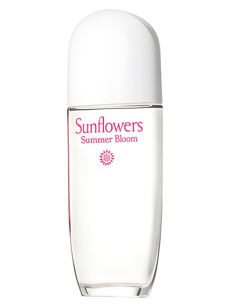 Sunflowers Summer Bloom