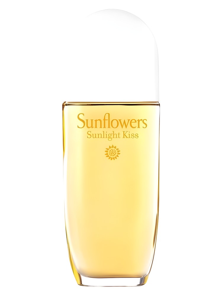 Sunflowers Sunlight Kiss