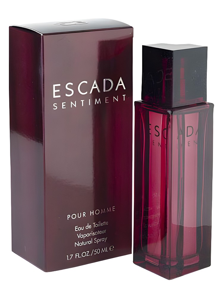 Escada Sentiment pour Homme