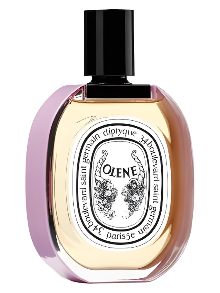 Impossible Bouquet Olene