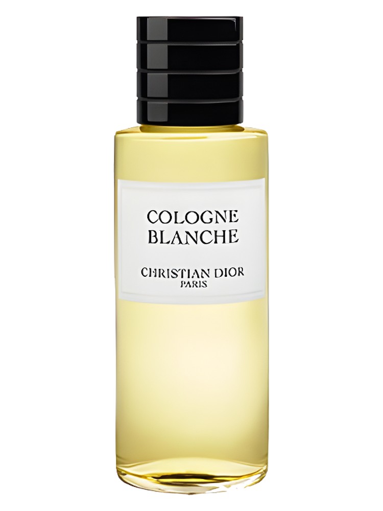 Cologne Blanche