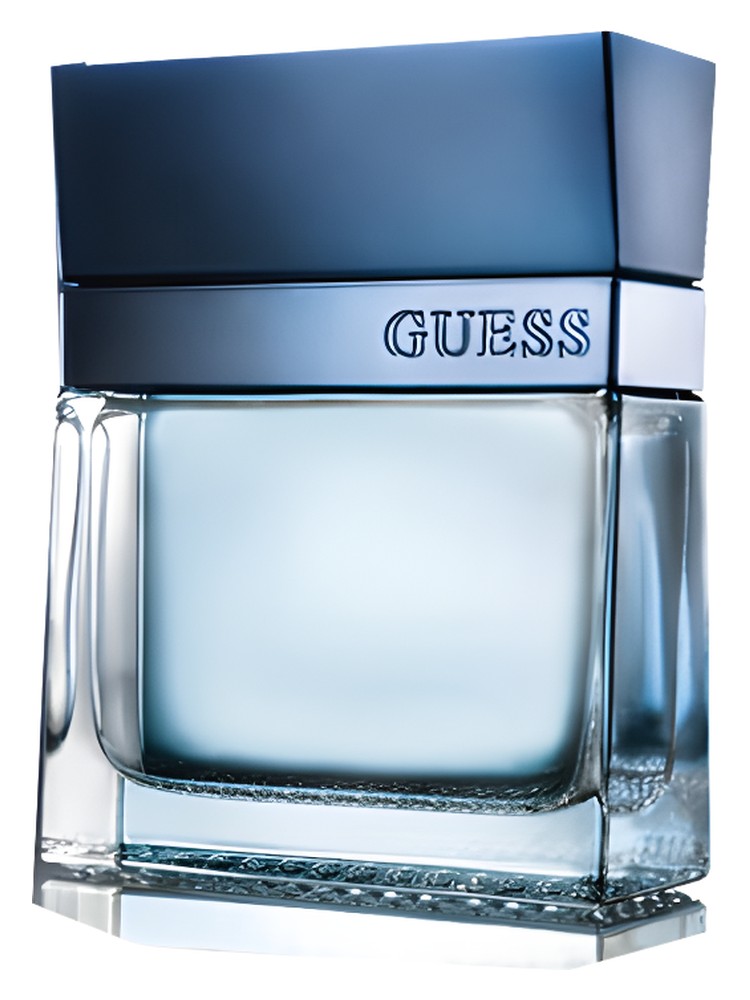 Guess Seductive Homme Blue