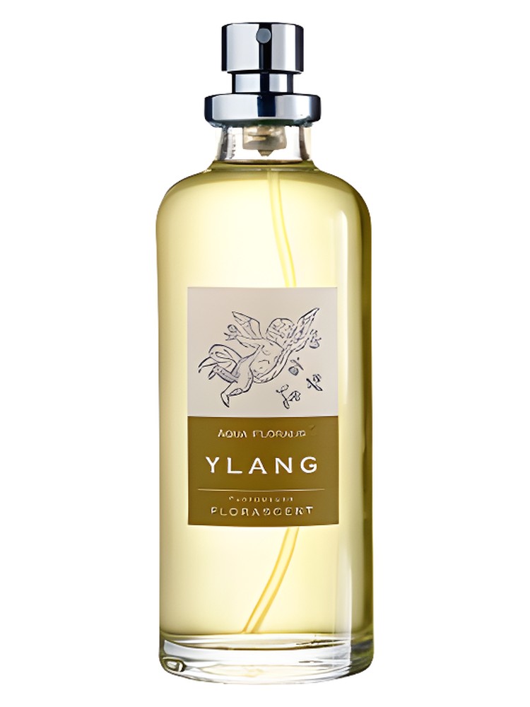 Ylang
