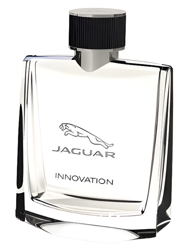 Jaguar Innovation