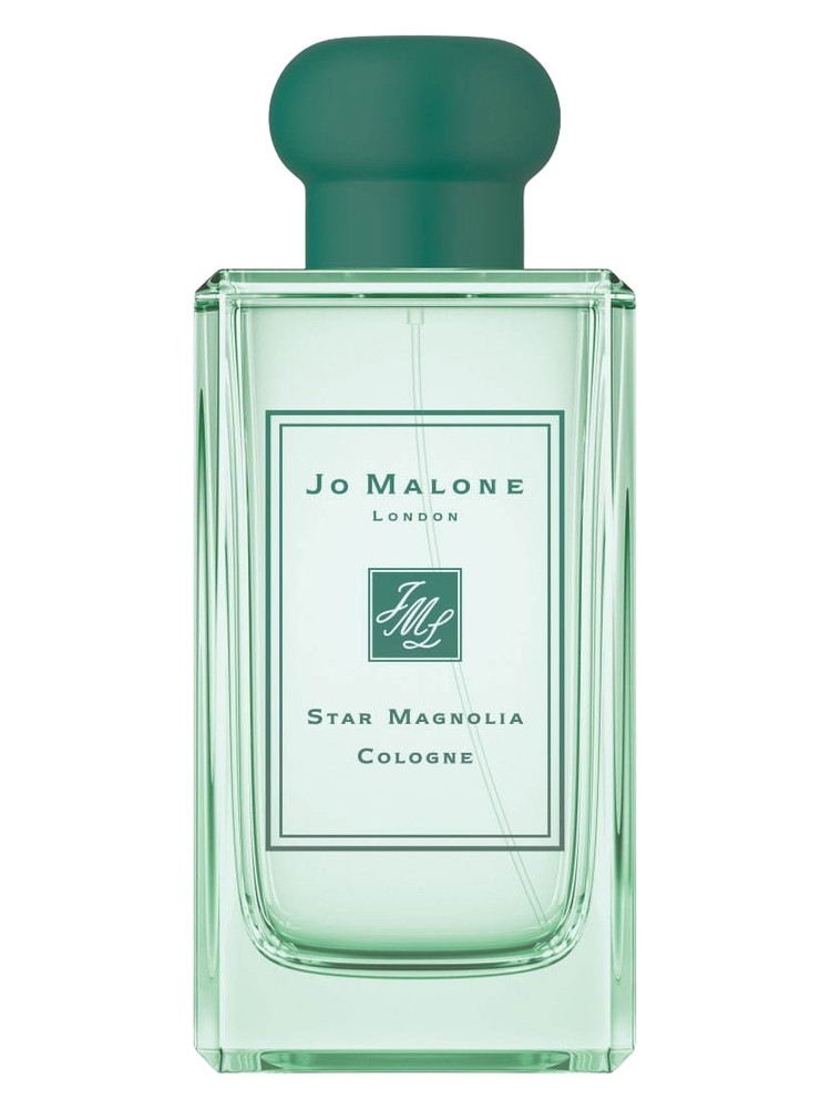 Star Magnolia Cologne 2019