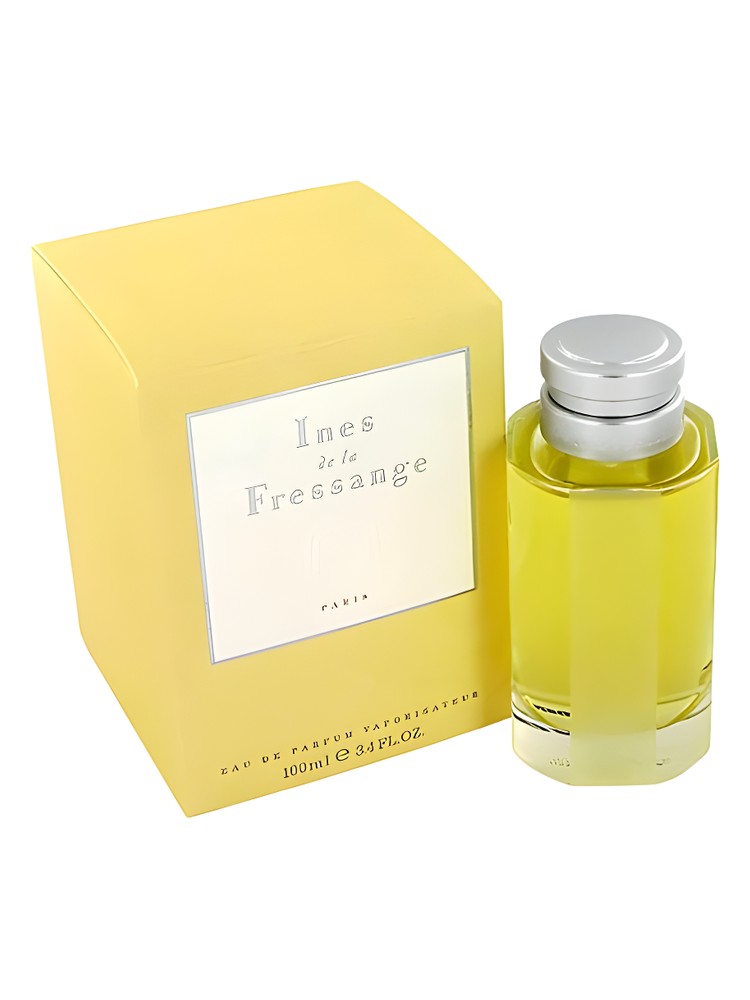 Ines de la Fressange