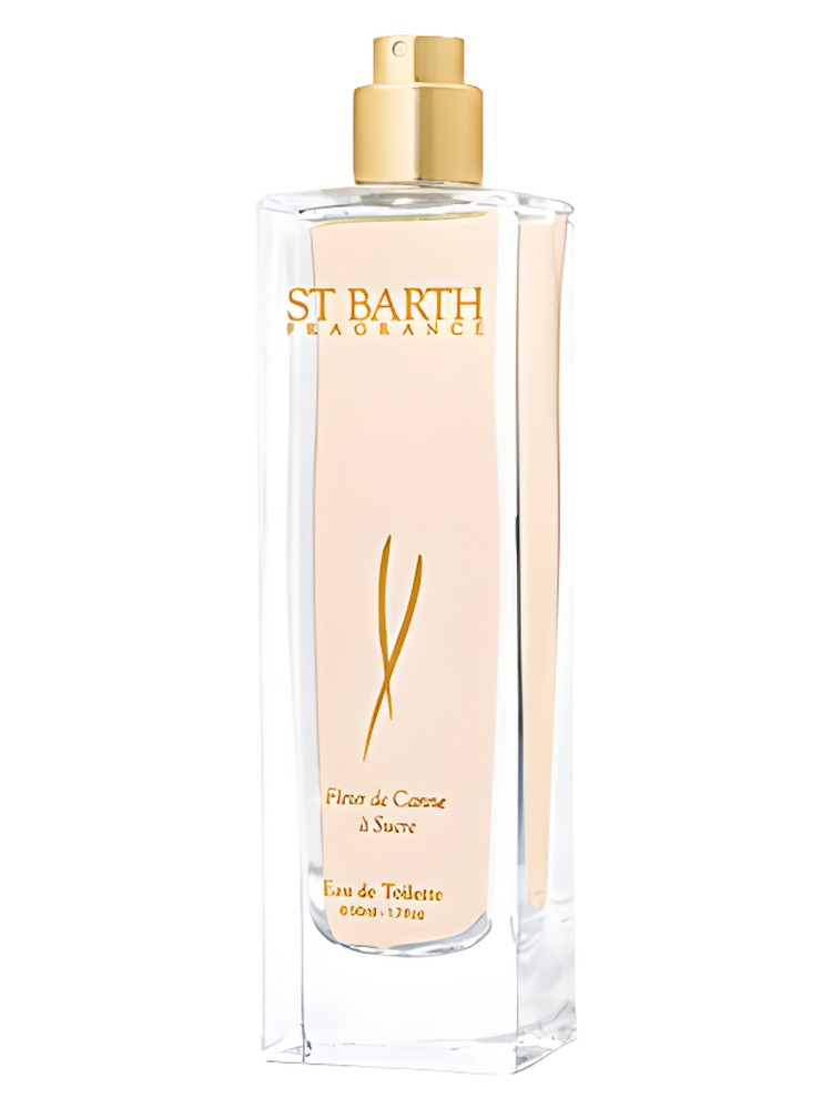 Fleur de Canne a Sucre