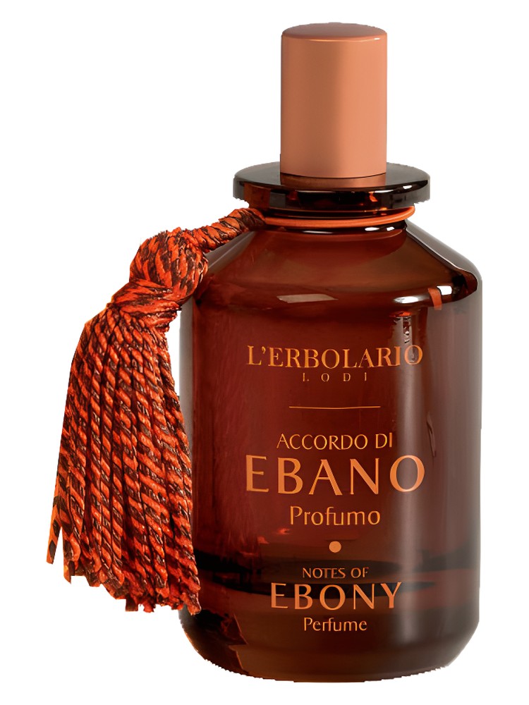 Accordo Di Ebano Perfume Notes Of Ebony