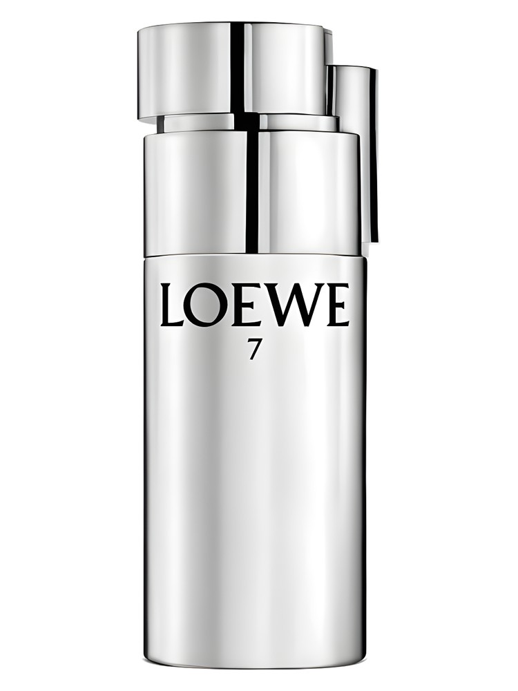 Loewe 7 Plata