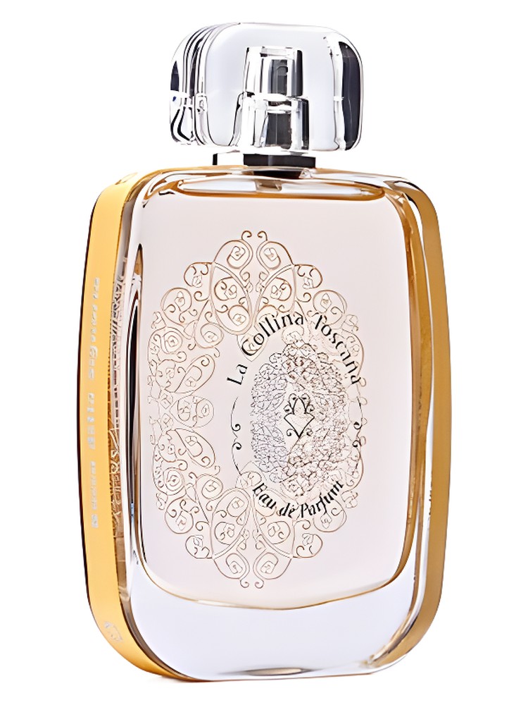 Rocca della Signoria