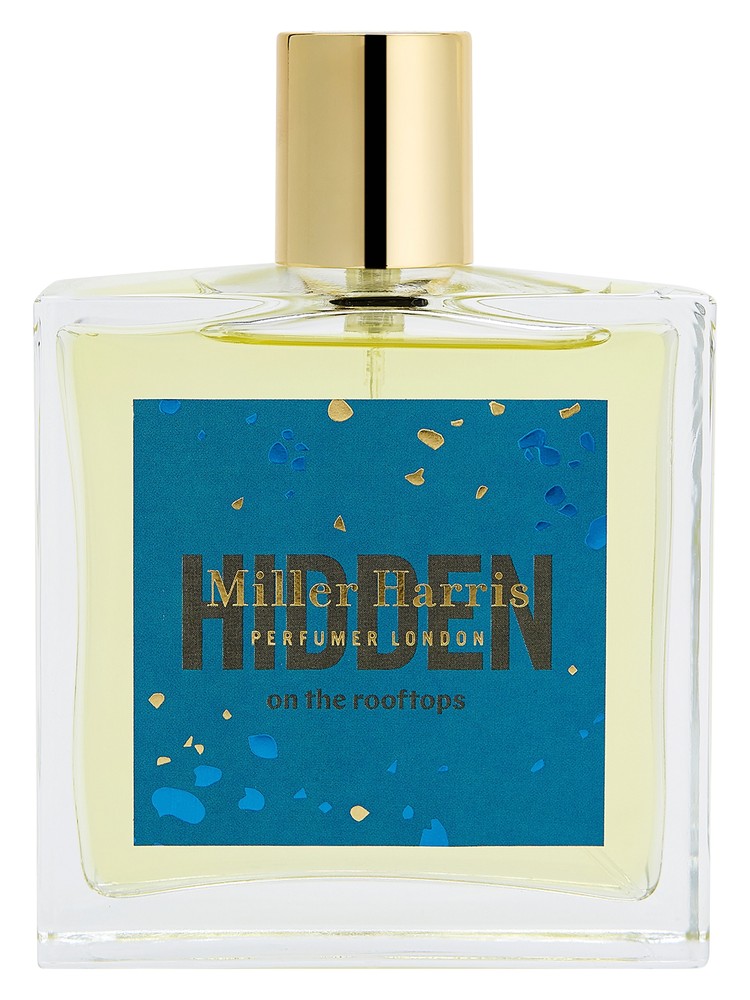 Hidden on the Rooftops